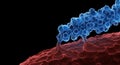 Microscopic visualization of disease spread Royalty Free Stock Photo