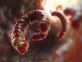 Microscopic Wonders Exploring the Intricate Details of Helminths through High-Resolution Imagery, Revealing the Complex Structures