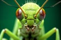 microscopy of grasshopper face, electron microscopy,500x zoom, Generative AI Royalty Free Stock Photo