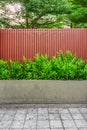 Microsorum punctatum fern, batten wooden fence and pavement