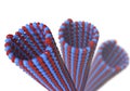 Microtubule isolated on white background Royalty Free Stock Photo