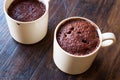 Microwave Brownie Chocolate Mug Cake Ready to Eat. Royalty Free Stock Photo