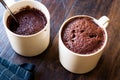 Microwave Brownie Chocolate Mug Cake Ready to Eat. Royalty Free Stock Photo