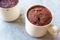 Microwave Brownie Chocolate Mug Cake Ready to Eat. Royalty Free Stock Photo