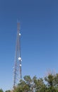 Microwave Tower Rising from Trees Royalty Free Stock Photo