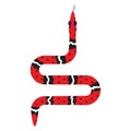 Micrurus red snake cartoon vector illustration on white. Royalty Free Stock Photo