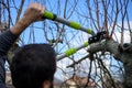 Mid adult caucasian man pruning fruit trees in his garden. Male gardener using pruning shears. Springtime gardening.