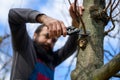 Mid adult caucasian man pruning fruit trees in his garden. Male gardener using pruning shears. Springtime gardening.