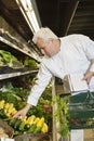 Mid adult chef looking at vegetables in market