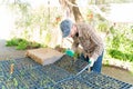 Mid Adult Farmer With Seedlings Tray In Farm