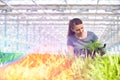 Mid adult female botanist examining herb seedlings in plant nursery