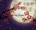 Mid autumn harvest moon festival with red flowers tree and stars vector design Royalty Free Stock Photo