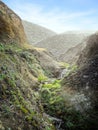 Mid december morning at Point Reyes, Pacific ocean, outside San Francisco