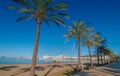 Mid morning sun on Ibiza waterfront. Warm sunny day along the beach in St Antoni de Portmany Balearic Islands, Spain Royalty Free Stock Photo