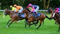 Jockeying for position. UK Horse racing. Royalty Free Stock Photo