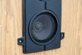 Mid-range speaker. Acoustic system Amphiton 35as-018. Music speakers in garden outdoors, listening to music.