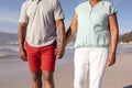 Mid section of african american couple holding hands standing on the beach Royalty Free Stock Photo