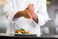 Mid section of a chef putting salt in kitchen Royalty Free Stock Photo