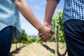 Mid section of couple holding hands at vineyard Royalty Free Stock Photo