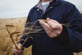 Mid section of farmer checking his crops in the field Royalty Free Stock Photo