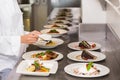 Mid section of a female chef garnishing food in kitchen