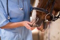 Mid section of female vet checking horse teeth