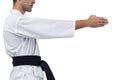 Mid section of fighter performing karate stance