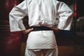 Mid section of karate player with hands on hips Royalty Free Stock Photo