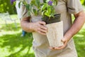 Mid section of a man holding flower pot at park Royalty Free Stock Photo