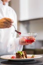 Mid section of a pastry chef decorating dessert in kitchen Royalty Free Stock Photo