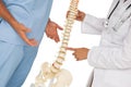 Mid section of two doctors discussing besides skeleton model Royalty Free Stock Photo