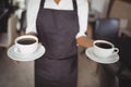 Mid section of waitress holding black coffee Royalty Free Stock Photo