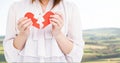 Mid-section of a woman holding a broken heart Royalty Free Stock Photo