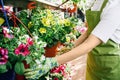 Mid-section woman selling flowers and plants on a market