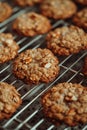 Mid-shot of golden brown oatmeal cookies cooling on a rack, nut chunks prominent, homey kitchen setting, high-resolution Royalty Free Stock Photo