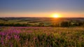 Mid-summer sunset over the Meon Valley from Butser Hill, South Downs National Park, UK