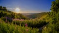 Mid-summer sunset over the Meon Valley from Butser Hill, South Downs National Park, UK