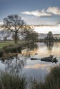 Mid winter sunrise at Bushy Park England