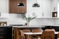 Midcentury Modern Interior Design Kitchen & Livingroom