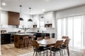 Midcentury Modern Interior Design Kitchen & Livingroom