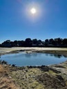 The midday sun reflecting in the ocean