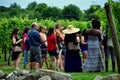 Middeletown, RI: Visitors on Vineyard Tour Royalty Free Stock Photo