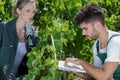 middle age couple in their vineyard