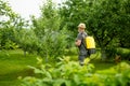 Middle age gardener with a mist fogger sprayer sprays fungicide and pesticide on bushes and trees. Protection of cultivated plants