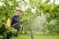 Middle age gardener with a mist fogger sprayer sprays fungicide and pesticide on bushes and trees. Protection of cultivated plants