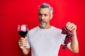 Middle age grey-haired man holding branch of fresh grapes and red wine in shock face, looking skeptical and sarcastic, surprised Royalty Free Stock Photo