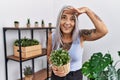 Middle age grey-haired woman holding green plant pot at home very happy and smiling looking far away with hand over head Royalty Free Stock Photo