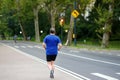 Middle age man jogging in Central Park of New York in summer evening Royalty Free Stock Photo