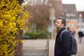 Middle age man looking at blomming forsythia bush. Tourist in small town Colmar, France.