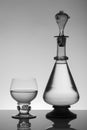 Middle age rummer wine glass and bottle on the white background